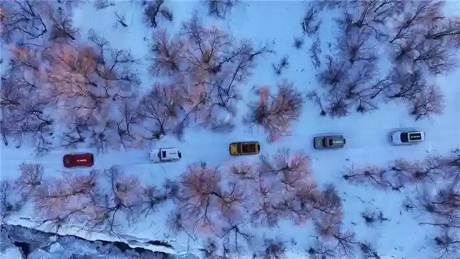 冬季汽车换什么电瓶好？看看汽车蓄电池十大排名里的TA