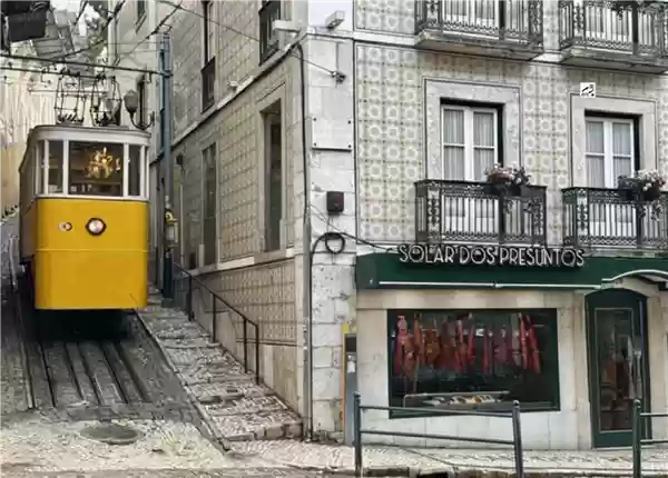 缆车坠毁致16人死亡！葡萄牙缆车事故初步调查报告出炉：钢缆不合规