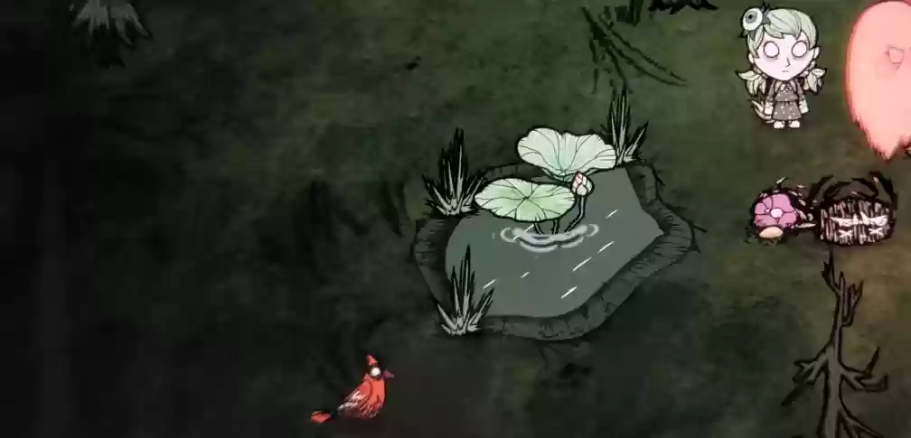 饥荒香蕉树和莲花株有什么特性 《饥荒》香蕉树和莲花株特性介绍