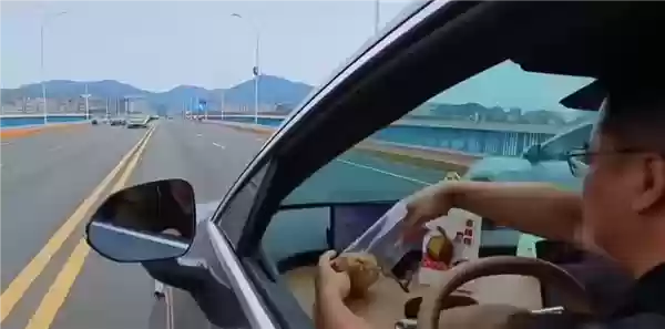 驾驶员 misuse 智能驾驶功能被查