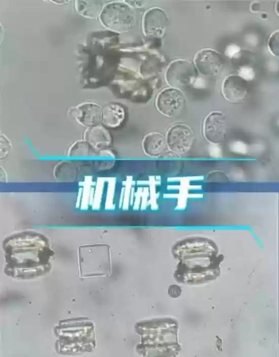 中国研发40微米3D微纳机器人助力纳米医生梦想