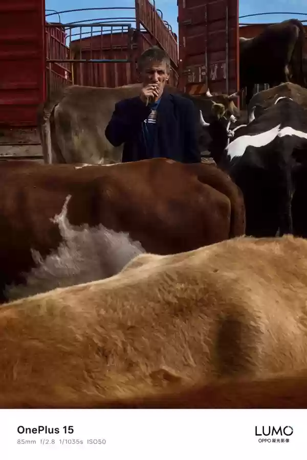 一加哈苏合作结束:一加15首次搭载OPPO LUMO凝光影像