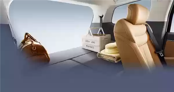 启用纯电MPV 上海出租上新车型:可放6件大行李箱