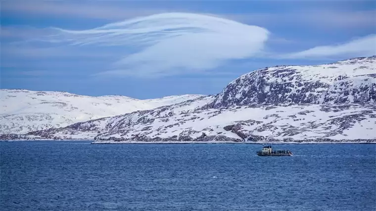 研究:气候变暖让北极地下沉睡4万年古生物醒来