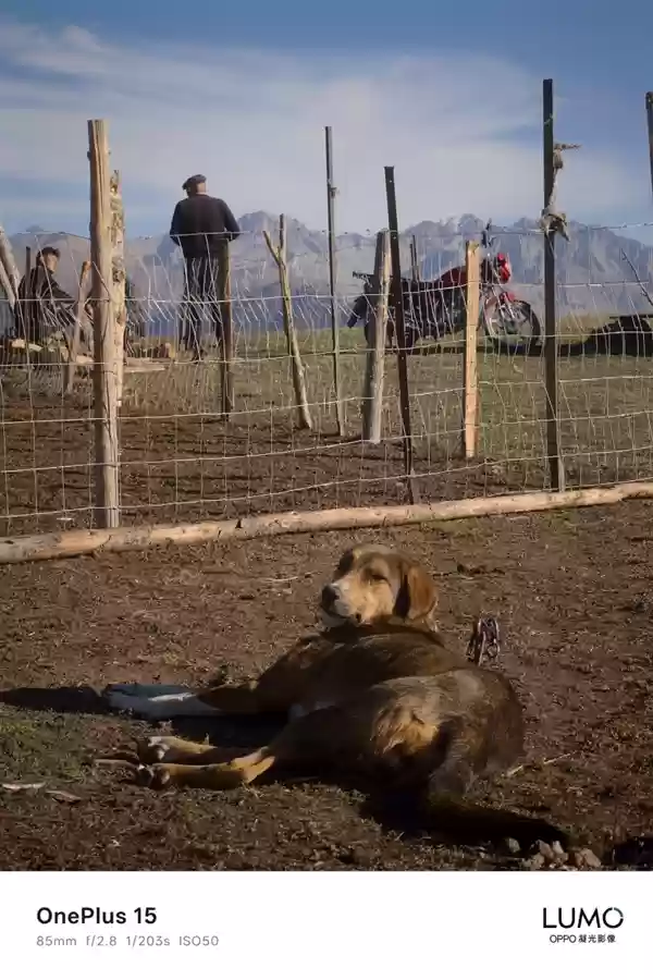 一加哈苏合作结束:一加15首次搭载OPPO LUMO凝光影像