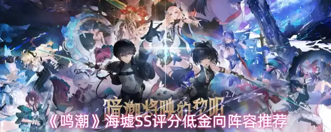 《鸣潮》海蚀SS评分低金向阵容推荐