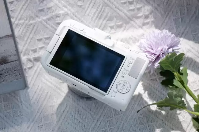 双十一买微单看这篇就够了！佳能R50V直播美颜、追焦快，赠品多到想不到