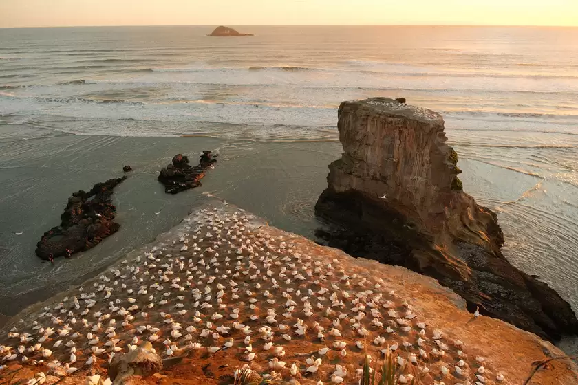 富士胶片发布新款无反数码相机「FUJIFILM X-T30 III」 富士胶片发布新款无反数码相机「FUJIFILM X-T30 III」