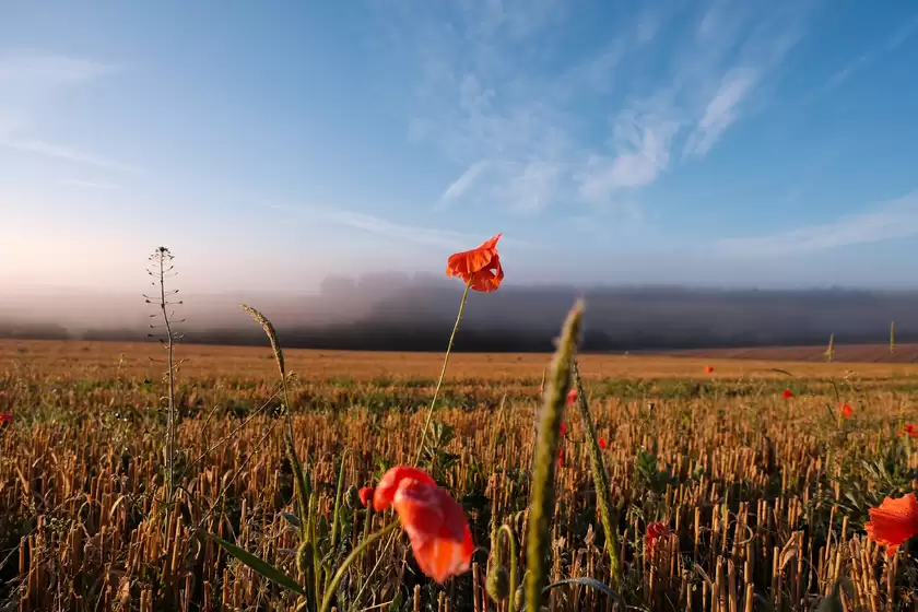 富士胶片发布“富士龙 XC13-33mmF3.5-6.3 OIS”