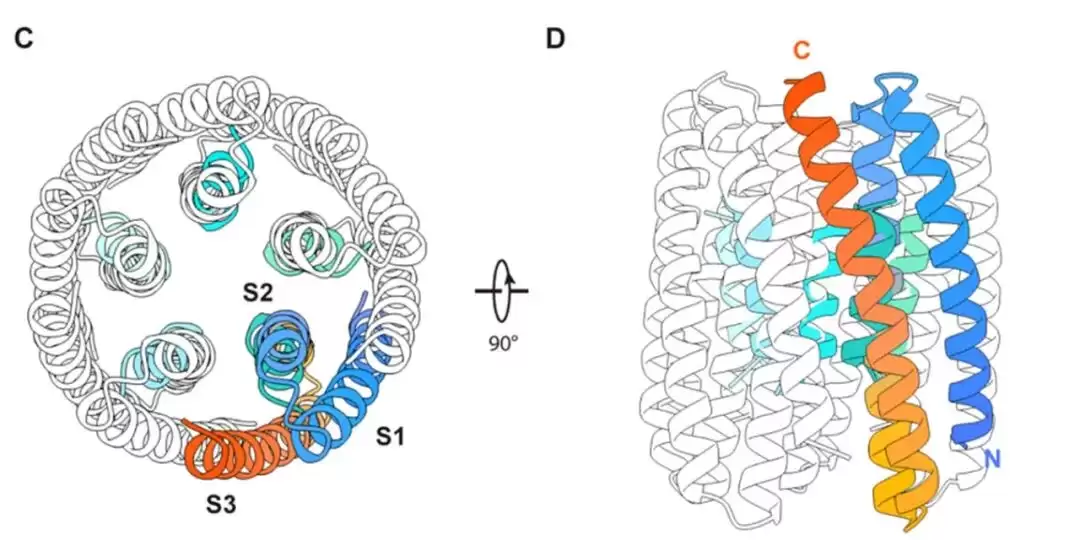 两项世界首次:我国科学家从零设计