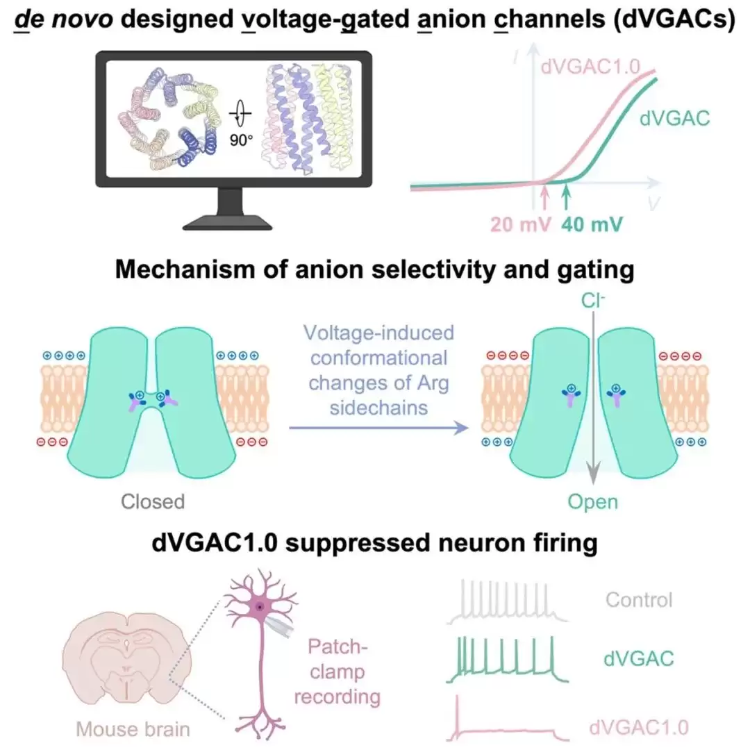 两项世界首次:我国科学家从零设计