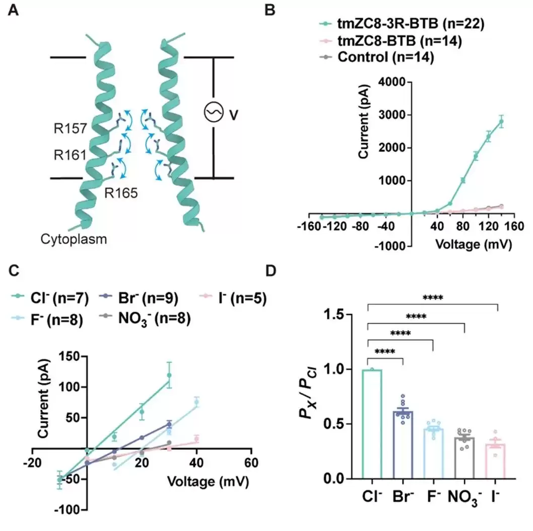 两项世界首次:我国科学家从零设计