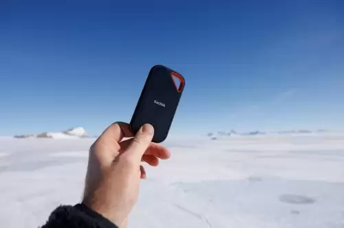 双十一存储先行，闪迪「心」选装备助力实现高效存储体验