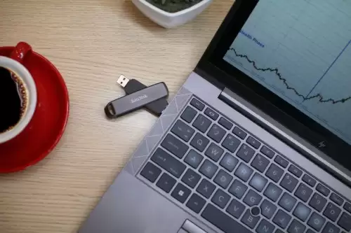 双十一存储先行，闪迪「心」选装备助力实现高效存储体验