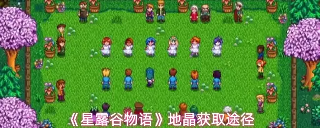 《星露谷物语》地晶获取途径