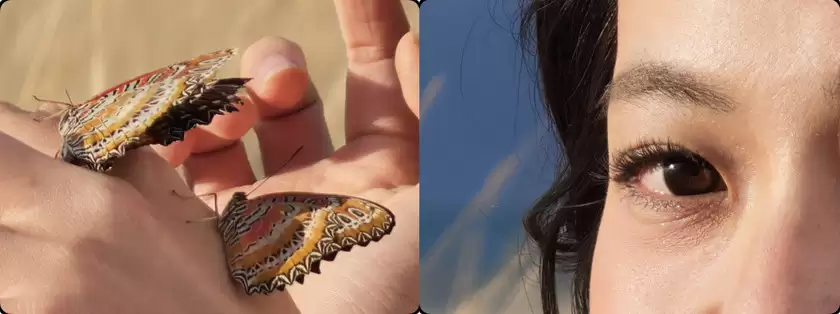 OPPO 发布年度旗舰Find X9系列 打造全新一代旅拍神器