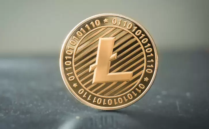 什么是莱特币（LTC）？值得投资吗？LTC购买方法介绍 - 菜鸟下载