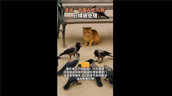 造谣中国人吃乌鸦的日本媒体被处理:公开道歉制造虚假信息 让观众对他国文化产生误解