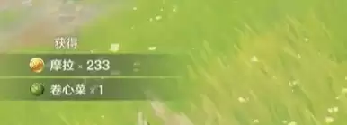 原神奇怪的丘丘人掉落什么物品