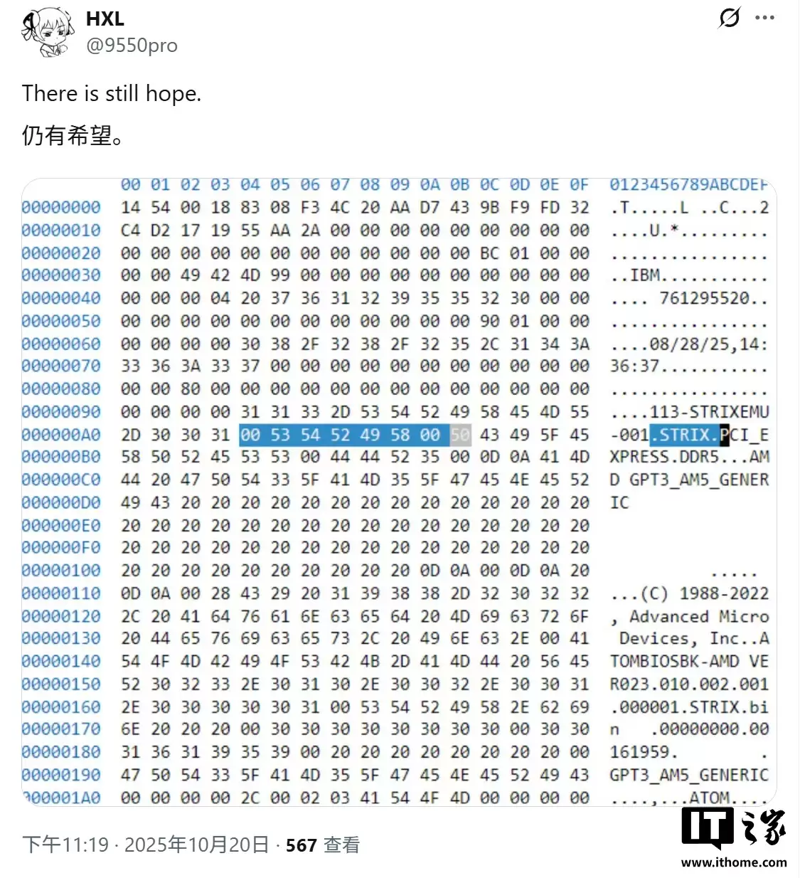最高 12 核 24 线程，新证据表明 AMD Strix Point APU 将登陆 AM5 桌面平台