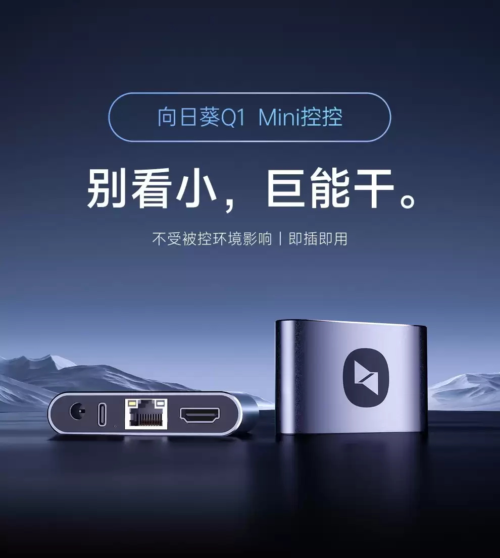 向日葵Q1域名访问指南：无需软件，一键远控