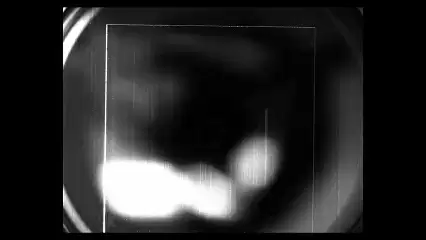 模板贴合过程示意图