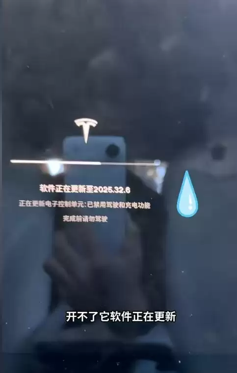 杨天真吐槽特斯拉系统更新打不开车门 只能从后备箱爬进去