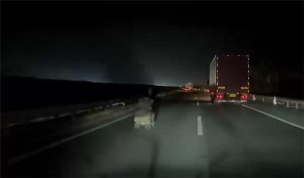 网友开辅助驾驶夜间走高速 偶遇老人逆行还疑推婴儿车!交警回应