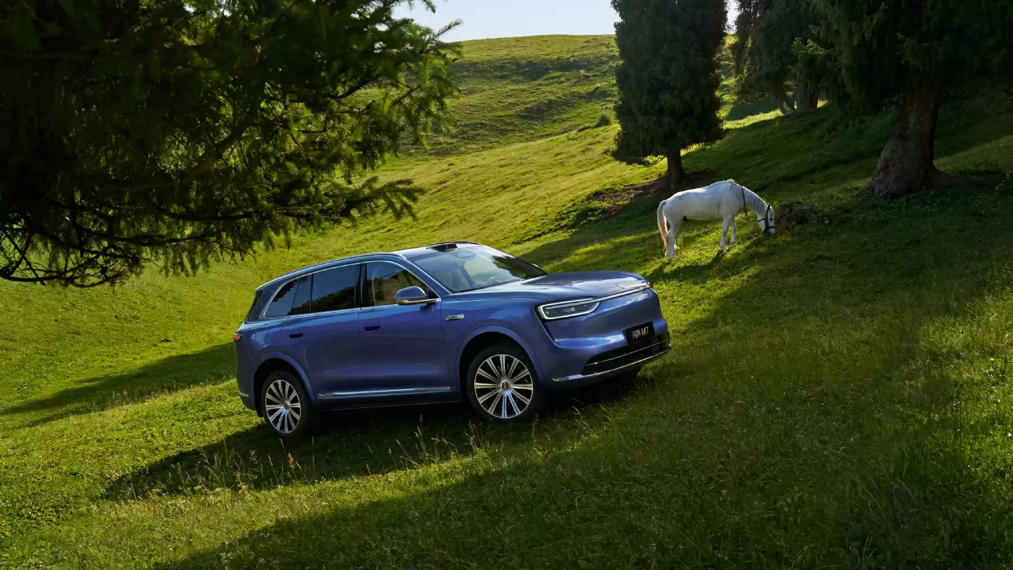 \ 003jcQnSly1i4cf9nyejwj65eg31eb2i02.webp