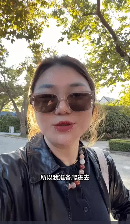 杨天真曝特斯拉升级致车门锁死引热议