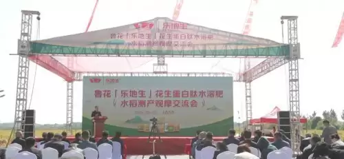 鲁花“乐地生”花生蛋白肽水溶肥水稻测产观摩会 在江西万年举行