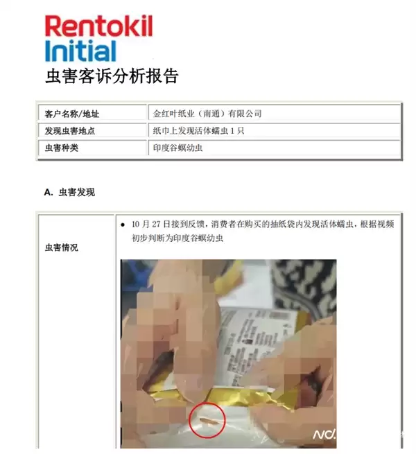 网友投诉清风未开封装抽纸发现活虫 客服回应：可将问题产品寄回公司分析