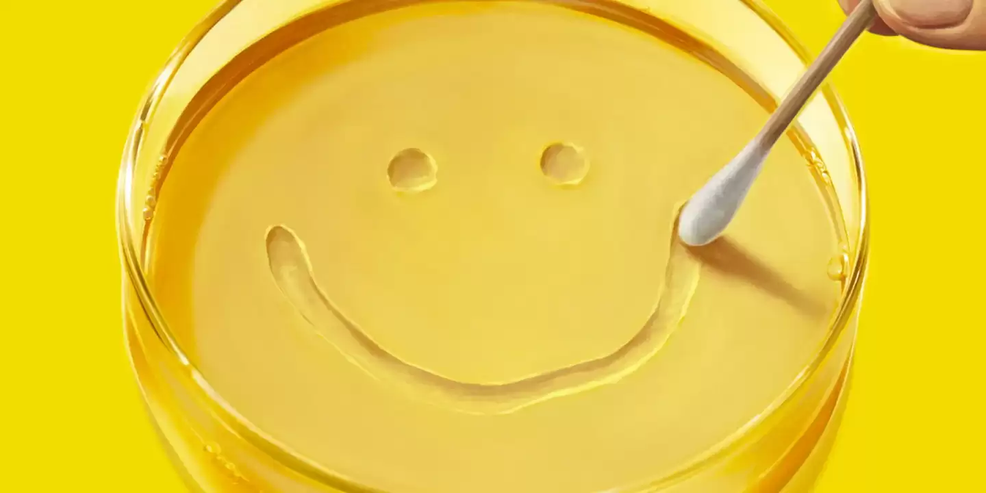 纽约时报评《绝命毒师》主创新剧《同乐者》：预算和概念是现代电视剧的天花板