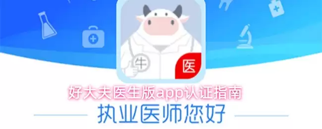 好大夫医生版app认证指南