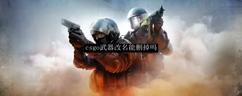 csgo武器改名能删掉吗