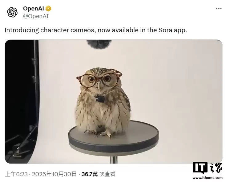 可将宠物、原创人物甚至物体放入 AI 视频,OpenAI 为 Sora 更新角色出镜功能