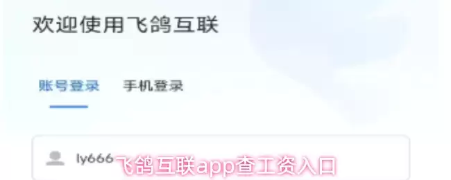 飞鸽互联app查工资入口