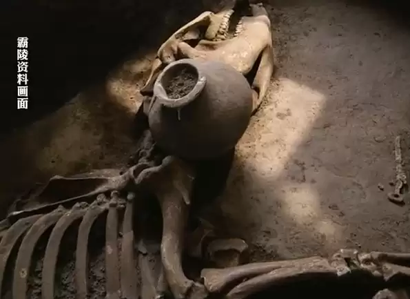 汉文帝霸陵发现进口宝马：系“西域天马”后代