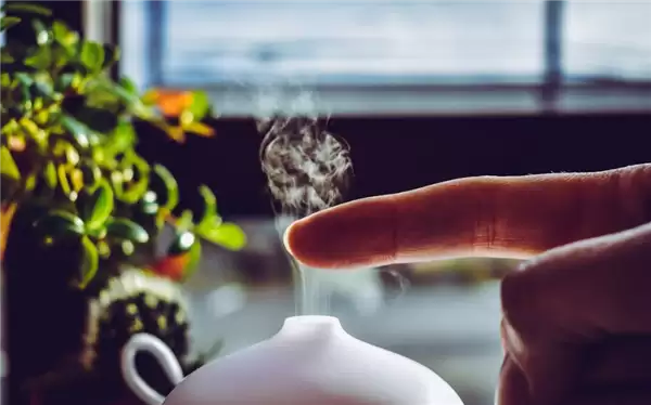不要随意添料！加湿器加香薰精油可能致肺炎