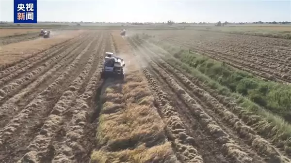 北斗＋无人机：中国大力推进非洲农业现代化