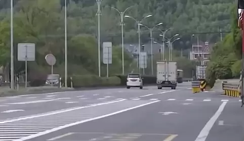 货车撞死狗后二次事故致老人丧命:司机被判次要责任