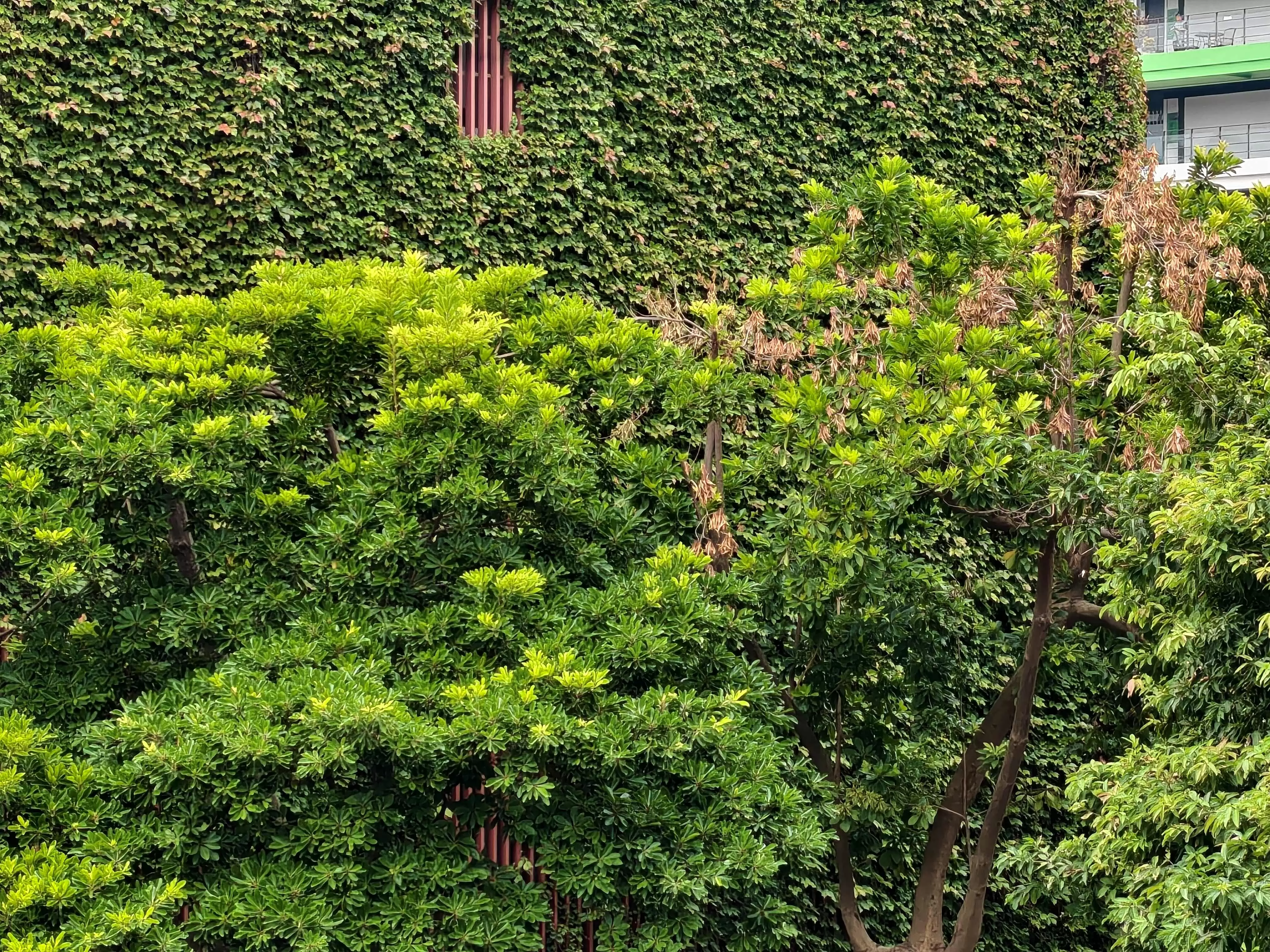 \ IMG_20251029_145247.webp