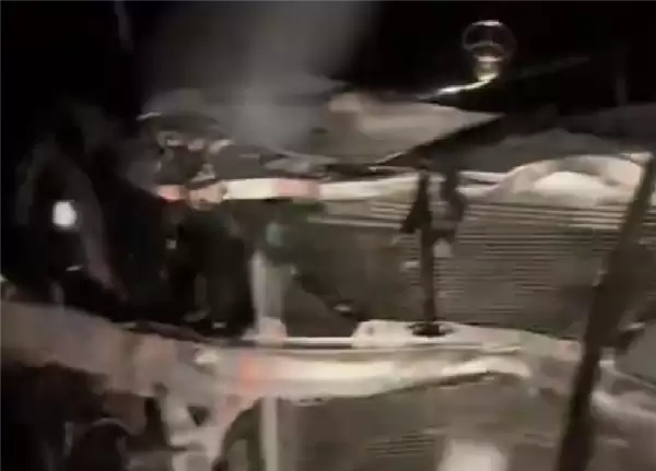 雪天路滑一轿车与黑熊相撞 交警回应:野生动物不受控制不会受罚