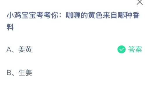 小鸡宝宝考考你:咖喱的黄色来自哪种香料