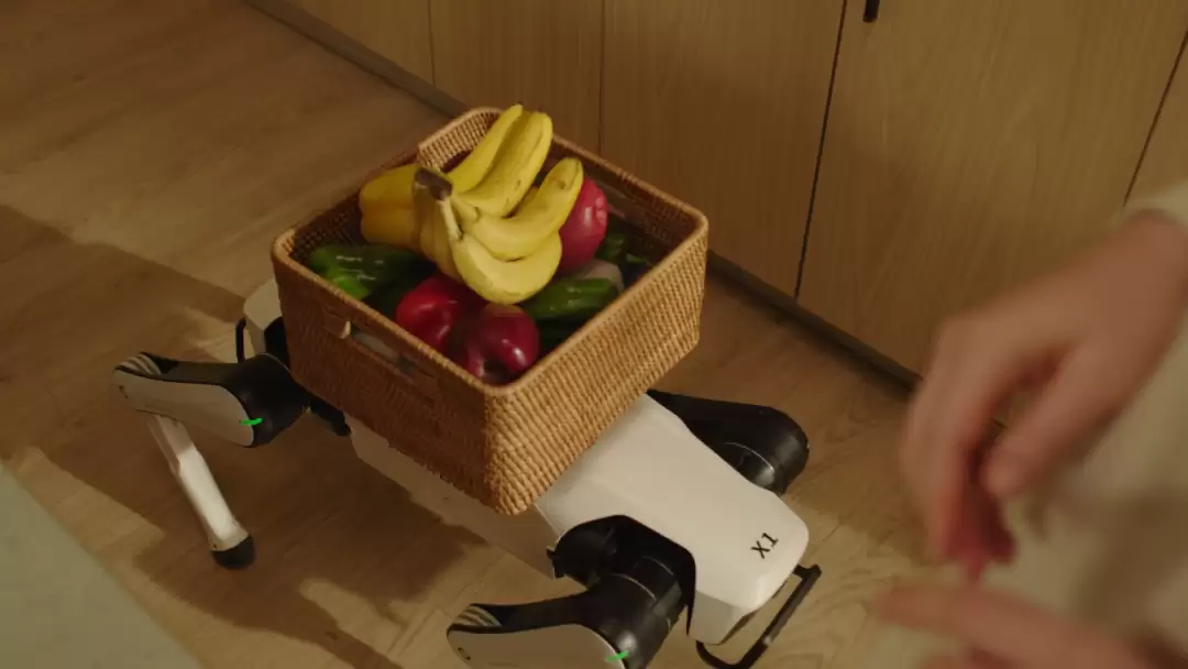 7499 元全球首款家庭智能机器人:越疆 Rover X1 机器狗发布,能搬东西能跟拍