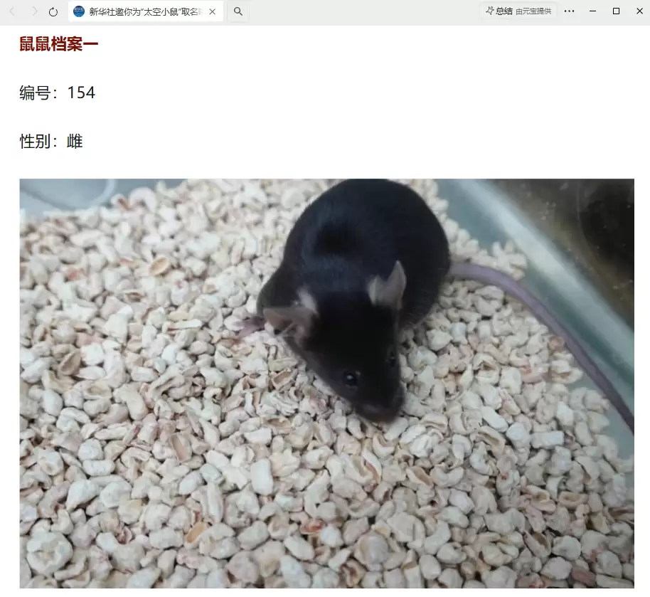 我国四只老鼠“航天员”档案公布,目前状态活泼“感觉”良好