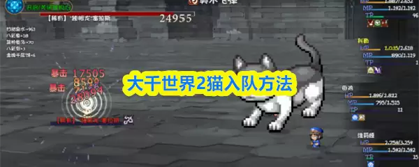 大千世界2猫入队方法