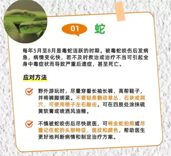 广州一居民家中出现蛇 物业:宠物蛇 已加强管理