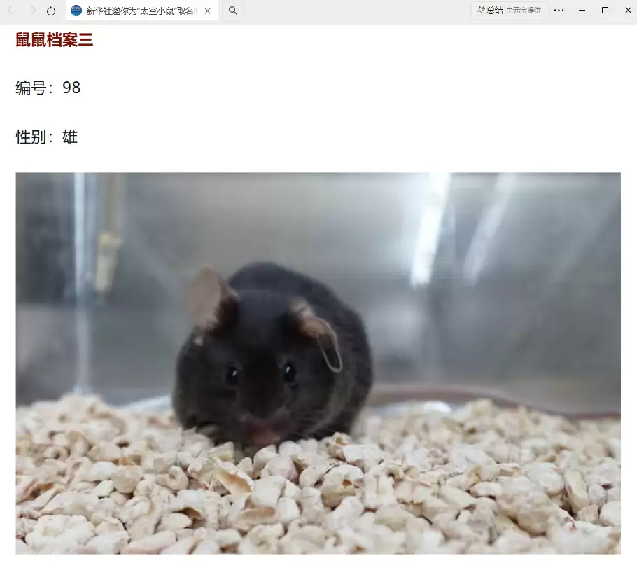 我国四只老鼠“航天员”档案公布,目前状态活泼“感觉”良好