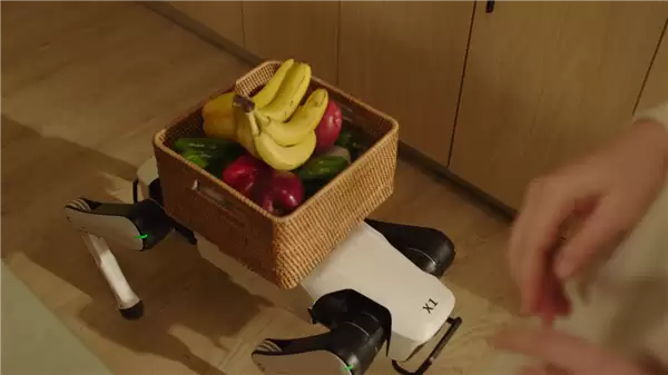 全球首款家庭智能机器人！越疆Rover X1发布：7499元 支持安防、情感陪伴